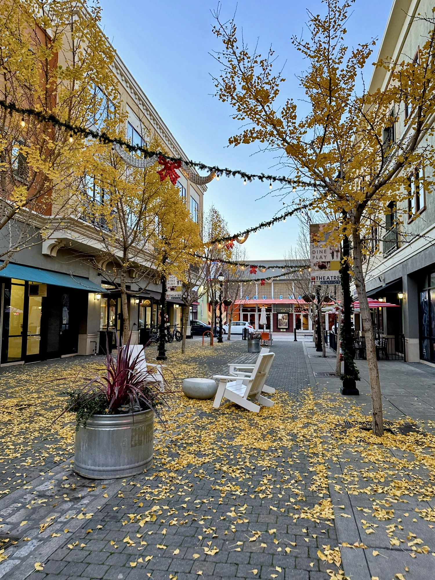 聖誕小鎮 Petaluma